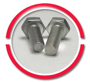 Stainless Steel Hex Bolt Stainless Steel Hex Bolt