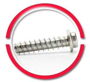 Stainless Steel Torx Screws