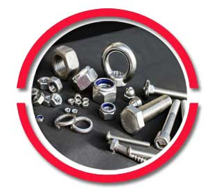 Uns S32205 Fasteners